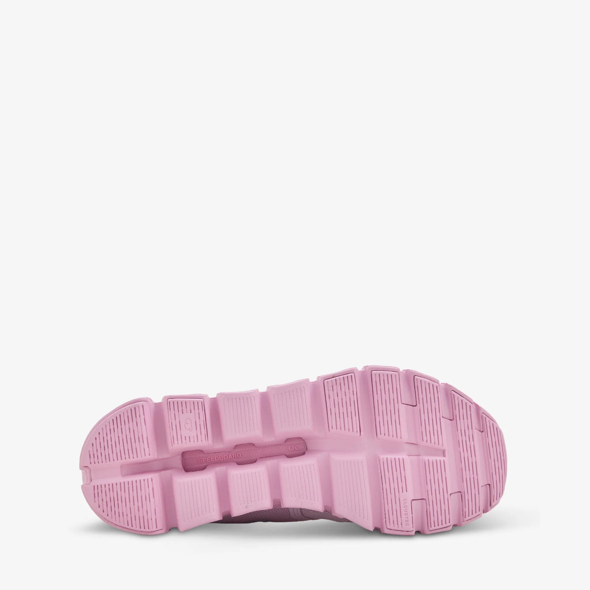 Sky High Farm x Cloud 6 Aster | Begonia - Image 8